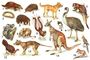 ����������� �������� ������������� �������: 1� �������; 2 � �������� ����; 3<span style='font-family: