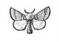 �������. �������� ��������� (Thaumetopoea processionea) � ��. � ��. ������. ��������� �����. �������.