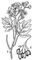 ������: � � ����� � �������� � ��������; � � ����� � �������. ������.