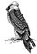 ������� � ��. �������. ������� (����� ���. ����������).