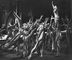 ����� �� ������ ����������� ������ �. �������. ���������� ������� �����. �������.