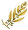 ����� ���������. ��������� (Sargassum). ���������.
