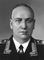 Н. Н. Воронов. Воронов Николай Николаевич.