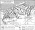 Восточно-Померанская операция 1945 г. Восточно-Померанская операция 1945.