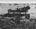 ������� ������������ ����� �� �. �������. ������ 1945. ������ ������� ����� 1939-1945.