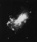 ������������ ��������� ���� ������������ ������� NGC 4449. ���������.
