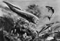 ������������� ������� ����� ������: ����� � Dinichthys (�� ��������); ������ � Cladoselache (�� �������� ���); �� �������� ����� � ���������� ������. ��������� ������� (������).