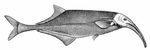 Криворылый гнатонем (Gnathonemus curvirostris). Длиннорылые (семейство рыб).