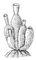 Sycon ciliatum; ������� � ������ ������������� �������. ����������� �����.