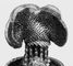 �������. Pelecyphora pseudopectinata var. cristata. ����������.