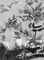 ���� ������. ����������. �������� �����. 16 �. �������� �� ������. ������������ �����. �����. ���� (����. ��������).