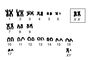 ���. 2. ������������������� �������� ����� ������� ���� (Scotophilus kuhlii), ���������� 17 ��� ������� (������������ ��������) � ���� ������� �������� ��, ����� ����� �� �� �������� � ������� ��������� XX (�������� � ������ ������� ����, � �����). ��������.