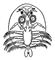 Argulus foliaceus (�����). ��������.