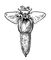 ���. � ��. ������. ������.