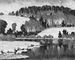 В. Пурвит. «Когда пробуждается бор». Ок. 1936. Художественный музей Латвийской ССР, Рига. Латвийская Советская Социалистическая Республика.