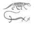 Лепидозавры: вверху — Scaphonyx (триас, Южная Америка); внизу — Asteosaurus (мел, Европа). Лепидозавры.