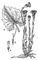 --<span style='font-family: