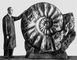 Рис. 3. Гигантский аммонит Pachydiscus из верхнемеловых отложений Западной Европы. Меловая система (период).