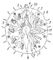 Myzostomum sp. ( ): 1  ; 2   ; 3  ; 4  ; 5  ; 6  ; 7  ; 8  ; 9    ; 10    ; 11  . .