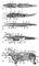    :    (),    (),    (),    (),    (): 1   ; 2  ; 3   ; 4   ; 5   ; 6  ; 7  ,  - ; 8  ,   ; 9      (      ); 10   ; 11   ; 12  ,   ; 13   ; 14    ; 15   ; 16   ; 17  ; 18  ; 19  -; 20  ; 21   ; 22  ; 23-25    (23   ; 24   ; 25  ); 26   ; 27  -; 28    ; 29  -; 30  ; 31  ; 32  ; 33  ; 34  -; 35  ; 36  ; 37   ; 38   ; 39   ; 40    ; 41  ; 42    ; 43     ; 44  ; 45   ; 46  .  .
