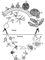 ���� �������� Plasmodium vivax: 1 � ����������; 2�4 � ��������� � ������� ������; 5�10 � ��������� � �����������; 11 � ��������������; 11a � ������� ��������������; 12, 13 � �����������; 12�, 14 � ������ ��������������; 15 � ����������� �����������; 16 � ������� �����<span style='font-family: