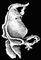 ������� ����� Hircinia variabilis. ������� �����.