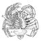 ���������: �������� �����, �������������� �� ����� Carcinus maenas (����� �������� ���� ����� ���������� ����������): � � ���� �����, � � ����������� �������. ���������.