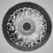 ����������������. ���������� Thalassicolla nucleta. ���������� ���������.