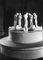 �. ����� (�������). ������� �������������������. ������. 1898. ���������-�����. �����. ���������.