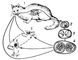 . 1.   Toxoplasma gondii: 1      ; 2  ; 24   (  ); 5      ; 6    gondii    ; 7   ,   . .
