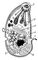 . 2.    Toxoplasma gondii: 1     ; 2  ,  ,      ; 3   ; 4  ; 5   (); 6  ; 7    ,  . .