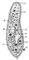 Туфелька (Paramecium caudatum): 1 — реснички; 2 — пищеварительные вакуоли; 3 — микронуклеус; 4 — ротовое отверстие; 5 — глотка; 6 — содержимое анальной вакуоли; 7 — резервуар сократительной вакуоли; 8 — макронуклеус; 9 — трихоцисты. Трихоцисты.