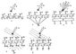 . 3.       ()    (),   (),   (),     ()   () :    ;   ;    ;     (); B<sub>1</sub>  B<sub>4</sub>  ;    ;    ;    ;    ;   ;   ; <span style='font-family:Symbol'>j</span>  ;        ,  , -     ,  .   .