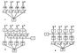 . 4.          (),       ()         ():   ;    ;   ;   ;   ;     ;    ; <span style='font-family:Symbol'>j</span>  .   .