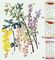   : 1     (Laburnum anagyroides); 2   ( )     ; 3    (Cytisus purpureus); 1, 2, 3        () .  ( ).