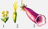 : 1   ( ), 2   ( ), 3  . .
