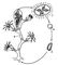. 2.      Obelia:   ;    ();          ,     ;    .  .