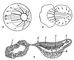   ,    ():         ()    ();      ,   ;     : 1   ; 2   ; 3  : 4  ; 5   ; 6  . .