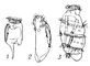 Энтодиниоморфы: 1 — Entodinium caudatum (из рубца жвачных); 2 — Spirodinium confusum (из толстой кишки лошади); 3 — Polydinium mysoreum (из толстой кишки индийскго слона). Энтодиниоморфы.