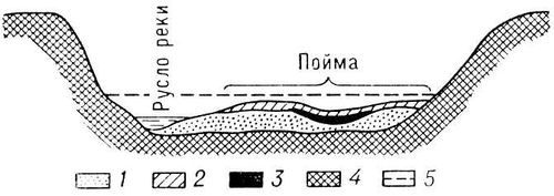     . 1, 2, 3  : , , ; 4        ; 5      . .