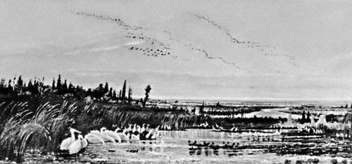 С. Бахлулзаде. «Родные просторы». 1956. Азербайджанский музей искусств им. Р. Мустафаева. Баку. Бахлулзаде Саттар Бахлул оглы.