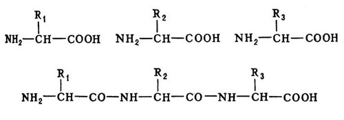 . 1.  .         R1, R2, R3;       .  ().