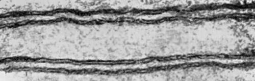 . 2.      ( , .  400 000 ).     75<img src=