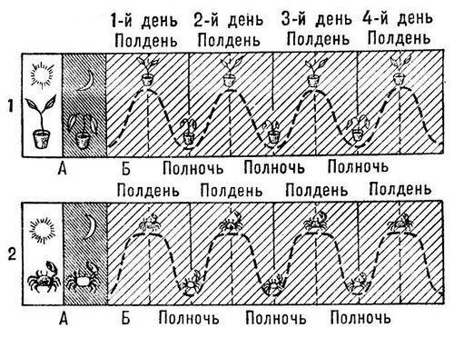 1.             ()     (). 2.           ()     ().  .