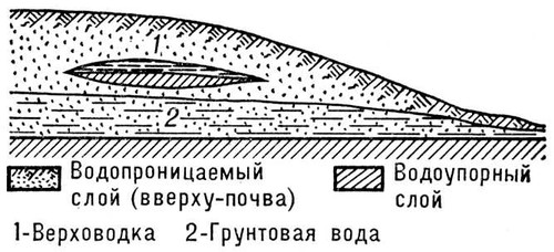 Рис. к. ст. Верховодка. Верховодка.