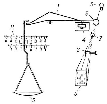 . 5.    : 1  ; 2   ; 3   ; 4    ; 5   ; 6   ; 7  ; 8     ; 9  .