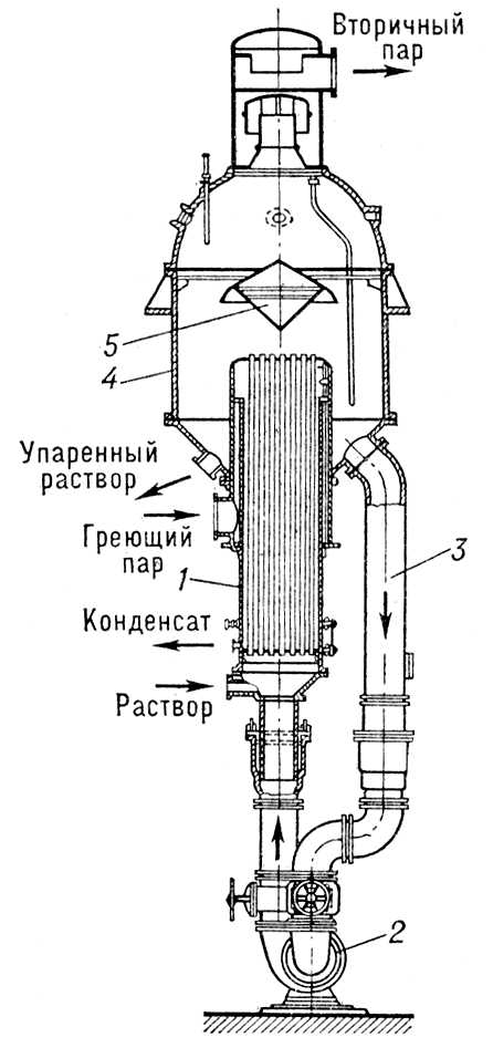 . 2.     : 1  ; 2   ; 3   ; 4  ; 5  .