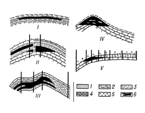 . 2.   . : I   ; II   ; III   . : IV  ; V  ; 1  ; 2 ; 3  ; 4    ; 5  ; 6  .