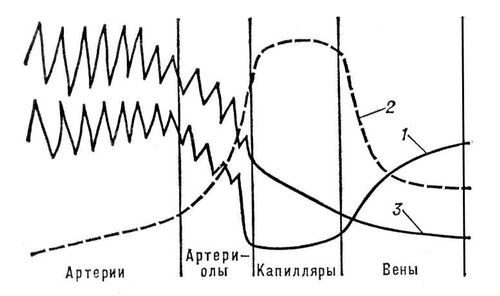 . 2.    (1)   (2)    (3)     .