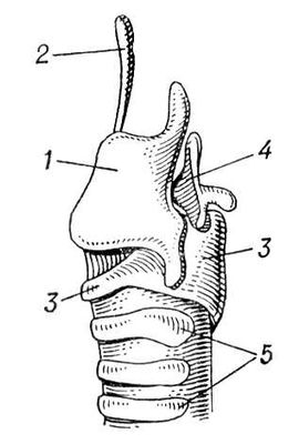 . 3.  : 1   ; 2  ; 3   ; 4   ; 5  . .